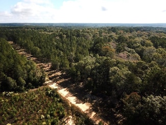 0 County Road 2310, Woodville, TX 75979