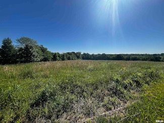 000 Fox Ln, Jonesboro, IL 62952