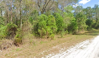 405 Rosewood St, Georgetown Cove, FL 32139
