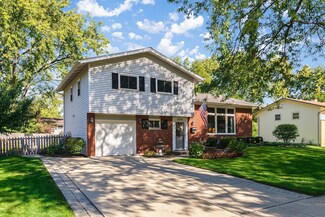 1046 E Williams Dr Unit 2, Palatine, IL 60074