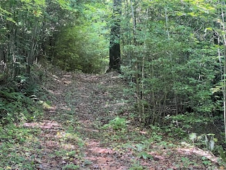 0 R J Mountain View Dr Unit 409173, Murphy, NC 28906