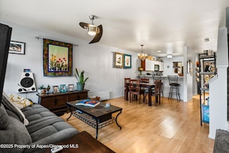 323 Park Ave, Basalt, CO 81621