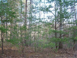 17 Grouse Ridge Dr, Bostic, NC 28018