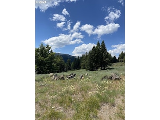 0 Elk Creek Rd Unit 24691139, Baker City, OR 97814