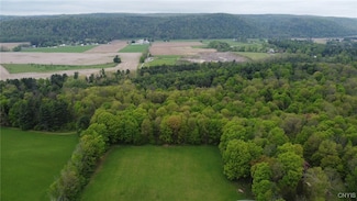 170 Fisher Settlement Rd, Spencer, NY 14883