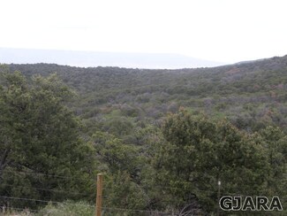 TBD Ladder Creek Unit 8, Glade Park, CO 81523