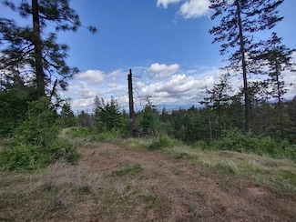 xx Ranch Rd, Loon Lake, WA 99148