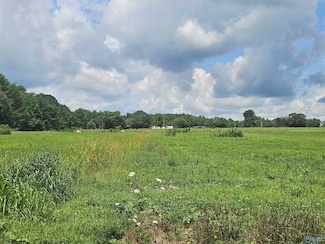 Lot 5 Scott Rd, Hazel Green, AL 35750