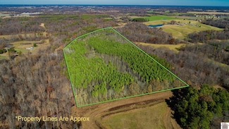 0 Protemus Rd, Farmington, KY 42040