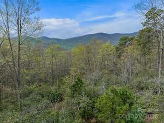 92 Smokey Ridge Trail, Arden, NC 28704