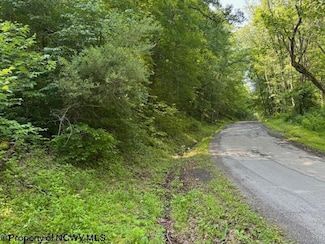 TBD Irontown Rd, Independence, WV 26374