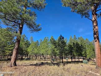 2522 Pinon Cir, Blue Ridge, AZ 86024