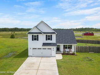 409 Williams Plantation Ln, Beulaville, NC 28518