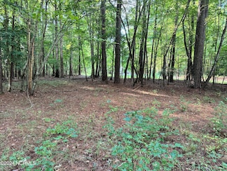 81 Beans Bend, Chocowinity, NC 27817