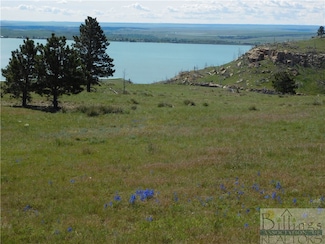 DMB61&62 Lookout Point Rd, Shawmut, MT 59078