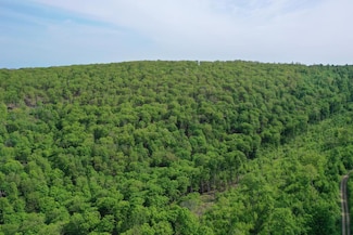 000 Pennsylvania 44, Oswayo, PA 16915