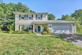 62 Timberline Dr, Blue Ridge, VA 24064