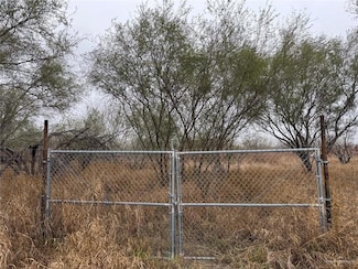 00 Las Brisas Rd, Rio Grande City, TX 78582