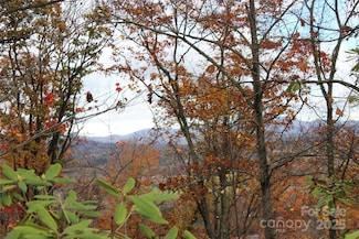 r1 Curtain Bluff, Hendersonville, NC 28791
