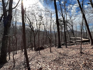 4528 Sassafras Mountain Trail, Jasper, GA 30143