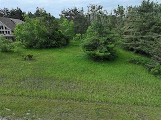 165 Pleasant Valley Dr, Harbor Springs, MI 49740