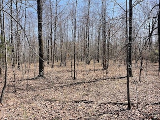 001 Dabney Rd Unit LotWP002, Jerusalem, AR 72080