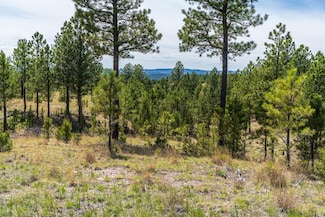 26771 Elk Run Rd, West Custer, SD 57747