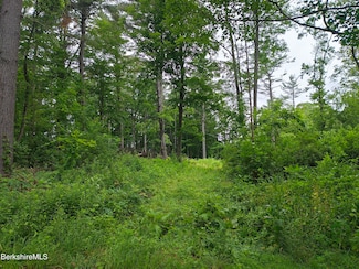 0 Iroquois St, New Ashford, MA 01237