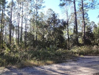 0 Property Location Is Not Avail Unit MFRV4939587, Deland, FL 32724