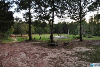 5565 County Road 17 Unit 3.15+/-Acre, Maplesville, AL 36750