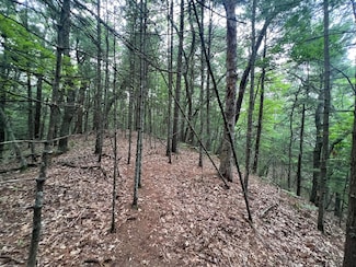 V/L A Lenox Ave, Summit Township, MI 49449