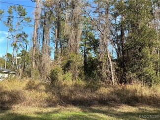 9879 N Athenia Dr, Citrus Springs, FL 34434