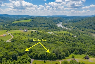 Panorama View, Allisonia, VA 24347