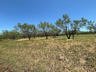 6480 Fm 603, Clyde, TX 79510