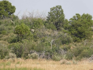 LOTS 1-3 Road 21, Lewis, CO 81327