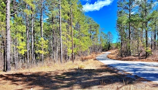 1000 Strother Rd, Blair, SC 29015