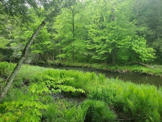 000 Creamery Rd, Mongaup Valley, NY