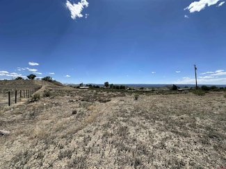 TBD (Lot 3) 6900 Rd, Montrose, CO 81401