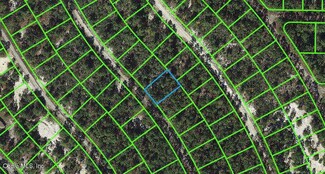 507 Dreamland Dr, Lake Placid, FL 33852