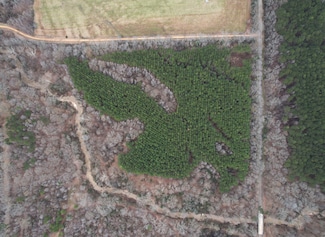 0 Dry Grove Rd Unit 22540421, Terry, MS 39170