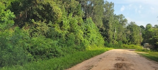 19082 Norfolk Ct, New Caney, TX 77357