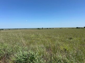 0 E 290 Rd & N 180 Rd Unit 20250457, May, OK 73851