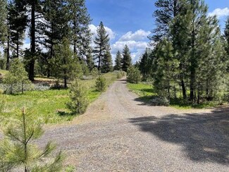 3695 Old Highway 95 Unit 25, New Meadows, ID 83654