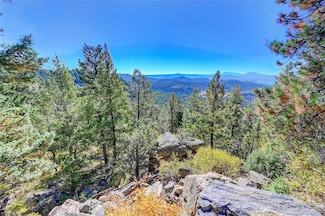 11723 Braun Way, Conifer, CO 80433