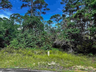16273 Bocaccio Dr, Russell Bayou Phase, FL 32507