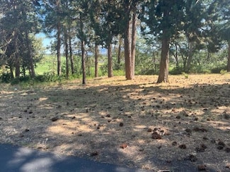 0 Kestrel Rd Unit Lot 142 220204402, Klamath Falls, OR 97601