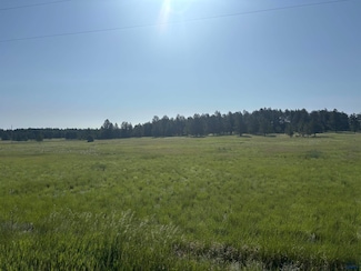 Lot 13 Harriet Ward Rd, Custer, SD 57730