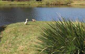 Lot 21 Block A Eagles View, Headland, AL 36345
