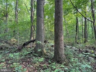 5.5+/- ACRES Mountain Green Rd, Willow Hill, PA 17271