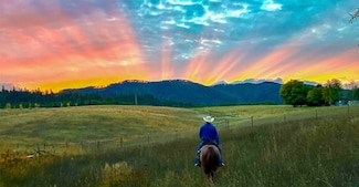 60 Coyote Run Ln, Trout Creek, MT 59873